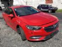 Holden Commodore ZB 2017-2020
