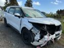 KIA Carnival NB81
